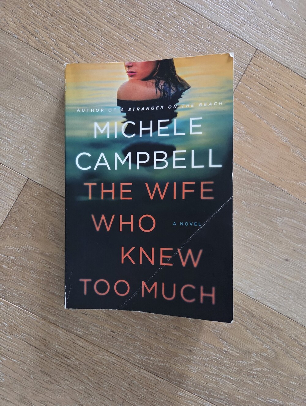 🌸 4/$20 BOOKS | The Wife Who Knew Too Much By Michele Campbell